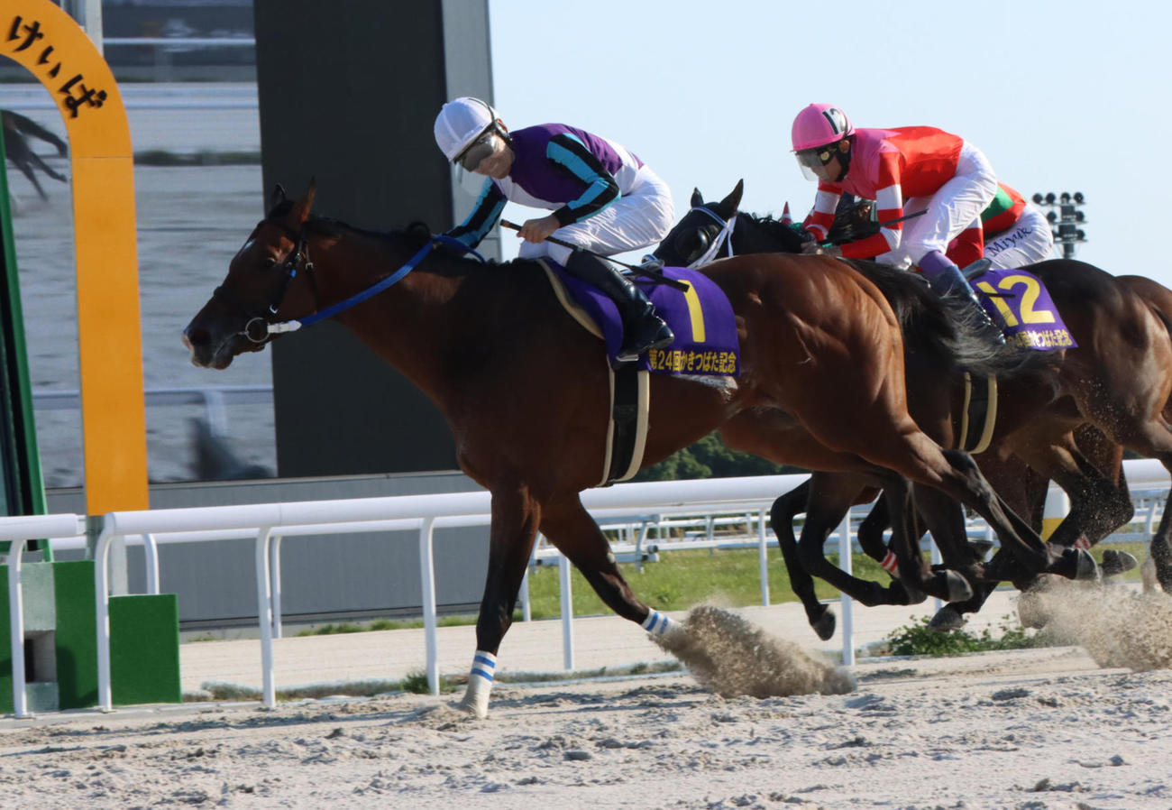 統一重賞連勝を飾ったイグナイター（提供・愛知県競馬組合）