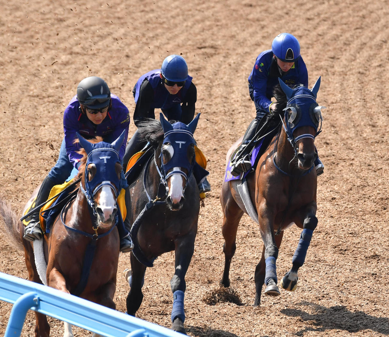 横山武騎手を背にソネットフレーズ（右）はアルビージャ（中央）、アナンシェーションと併せて追い切る