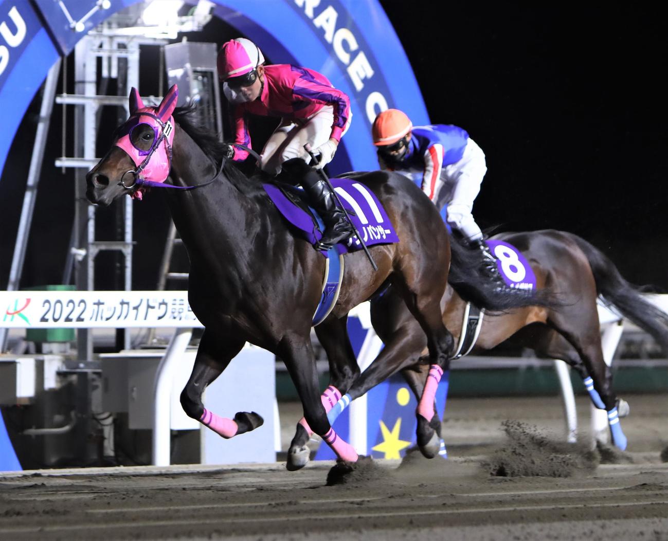 重賞初制覇を果たしたフジノパンサー（撮影・奥村晶治）