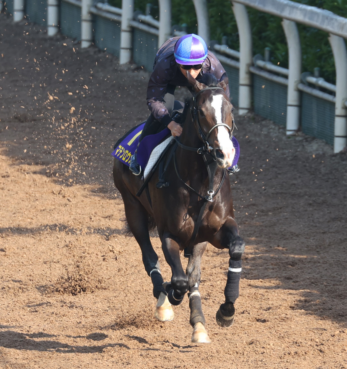 横山典騎手を背に坂路で追い切るマテンロウオリオン