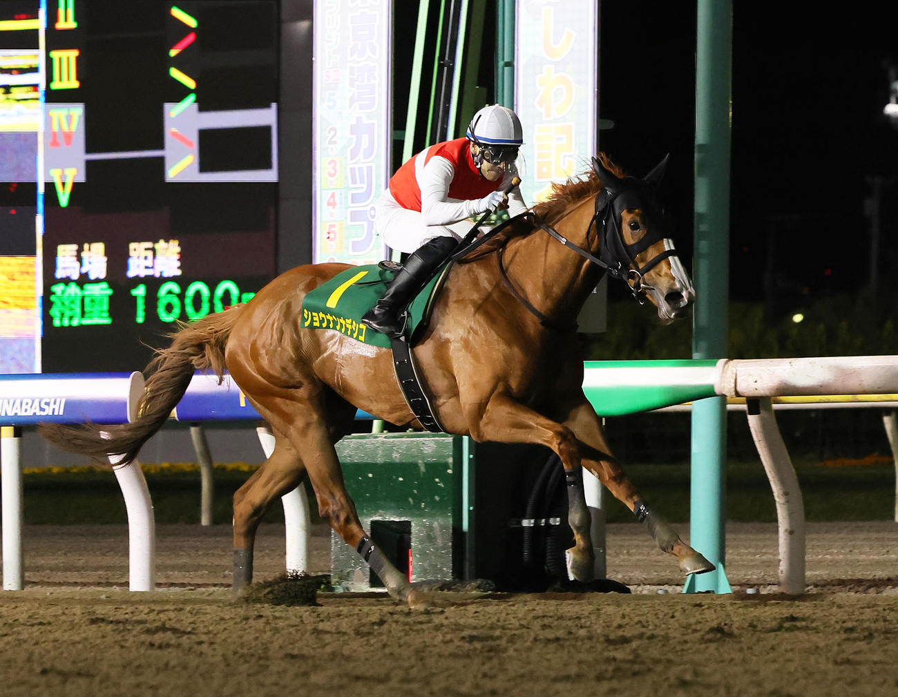 かしわ記念を制したショウナンナデシコと吉田騎手（撮影・足立雅史）