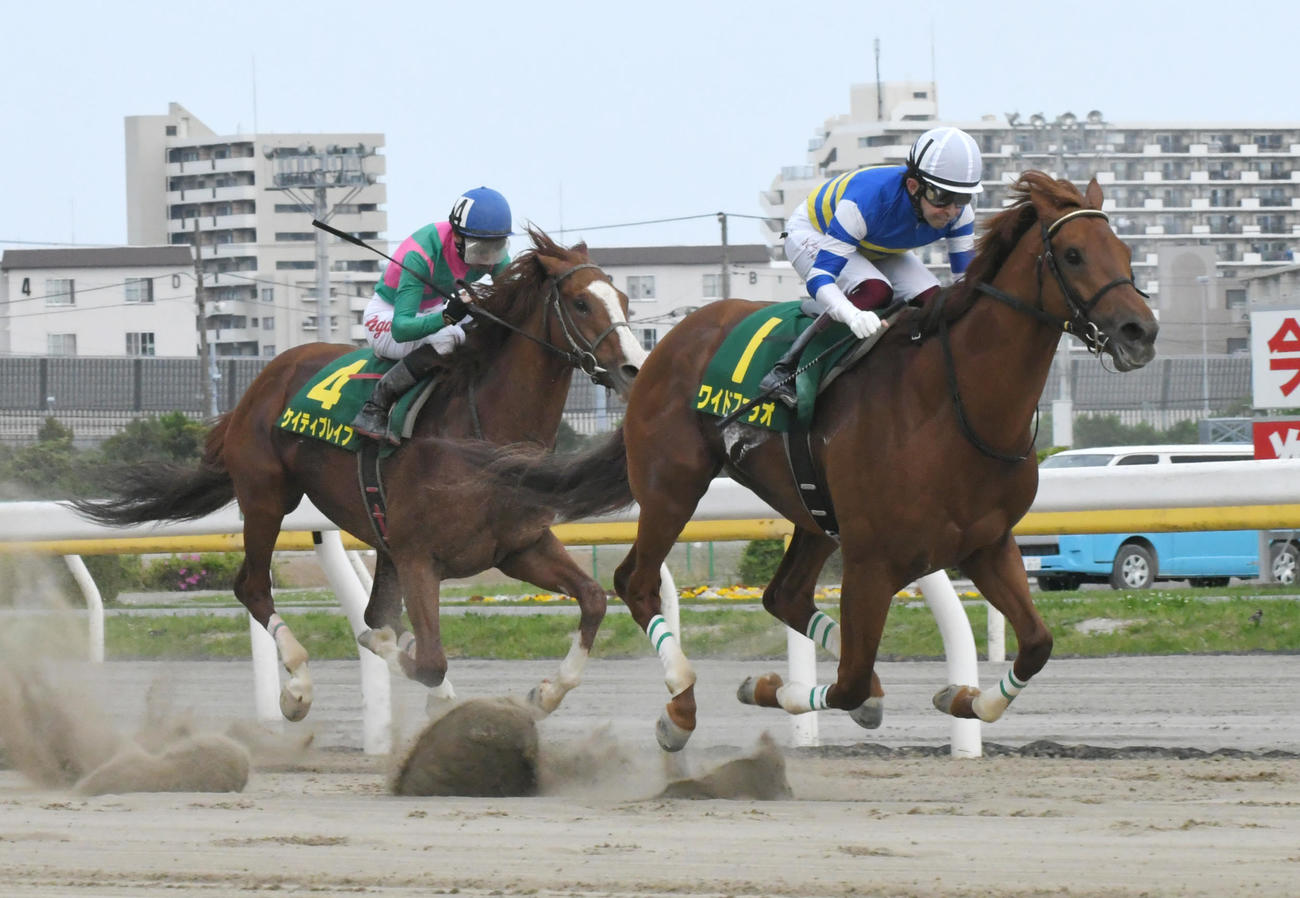 かしわ記念を制したワイドファラオ（2020年5月5日撮影）