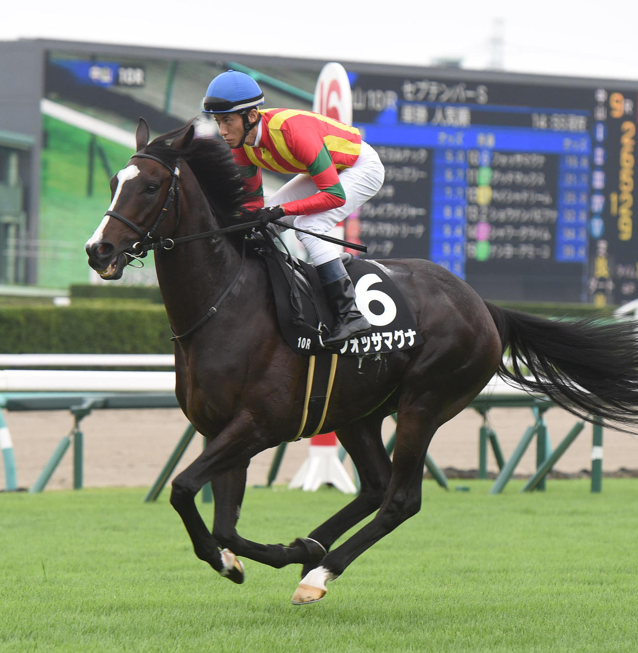 フォッサマグナ（2021年9月12日撮影）