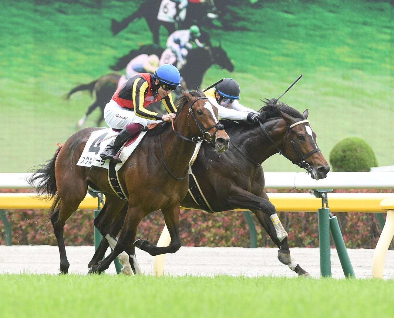 スクルトゥーラとの追い比べを首差制したニシノスーベニア（右）（撮影・柴田隆二）