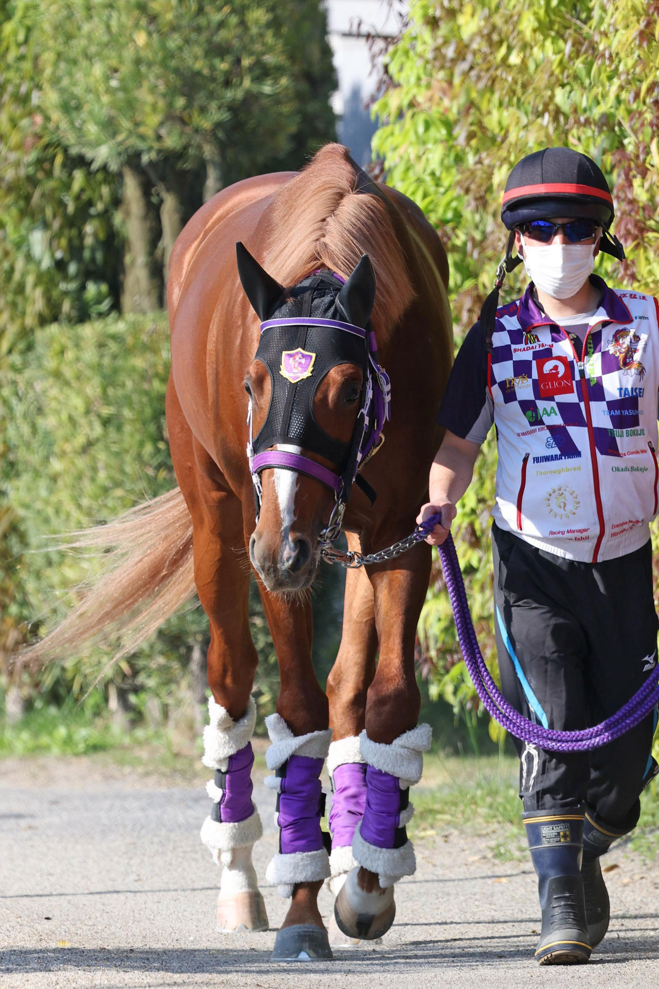 ソリタリオ（2022年5月5日撮影）