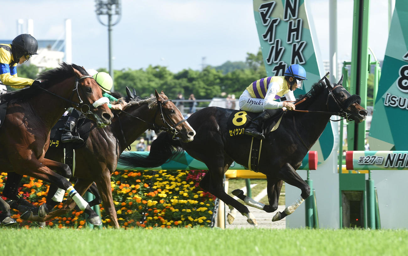 プリンシパルSを快勝したセイウンハーデス。左は2着キングズパレス（撮影・柴田隆二）