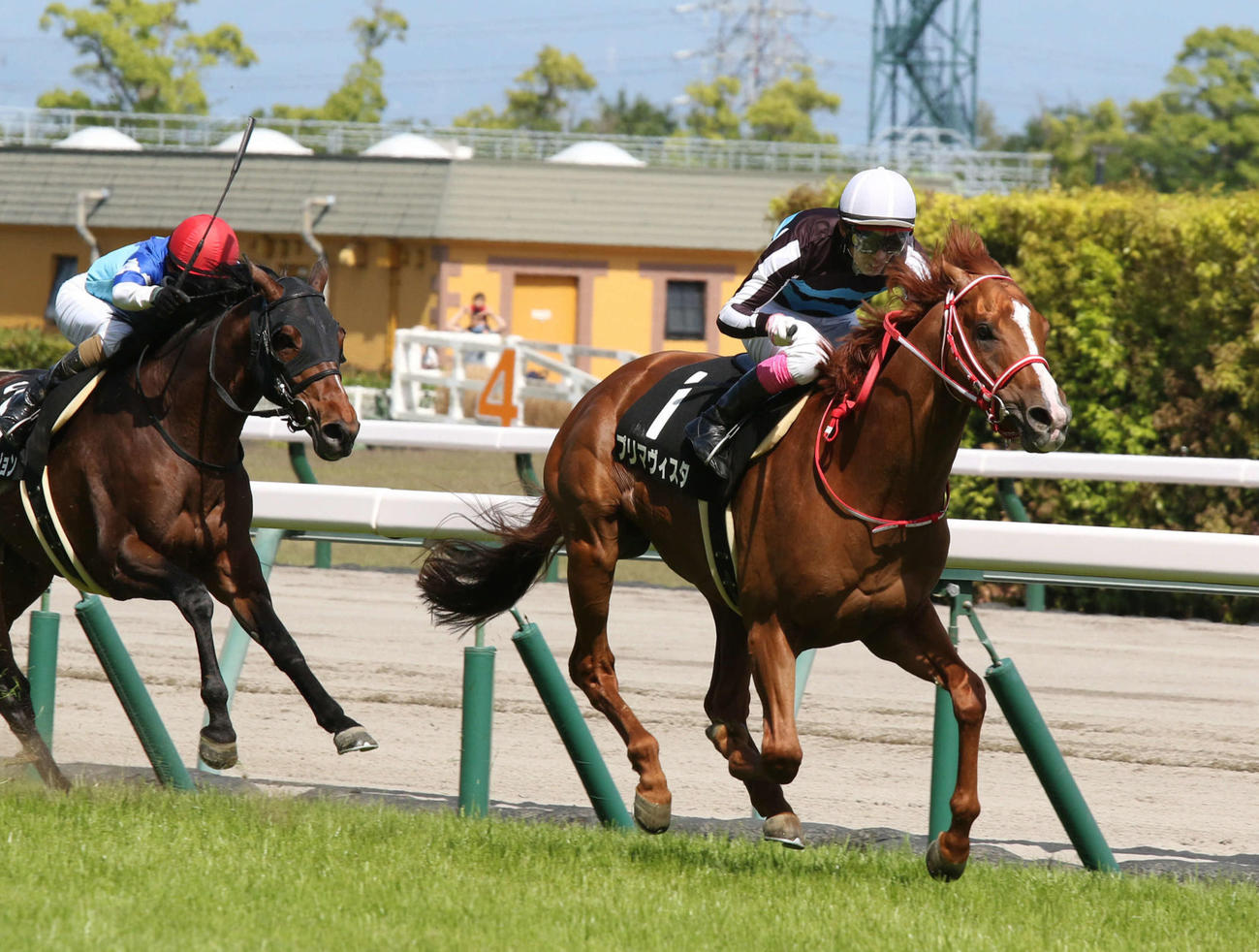 三方ケ原Sを制したプリマヴィスタ（撮影・渦原淳）