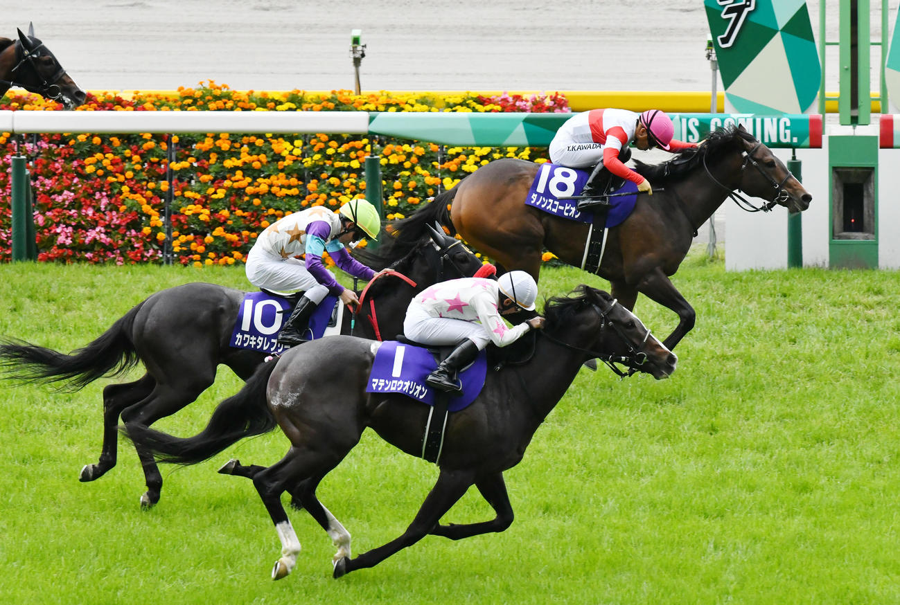 ダノンスコーピオンがマテンロウオリオン（手前）を首差抑え制す。左は3着のカワキタレブリー