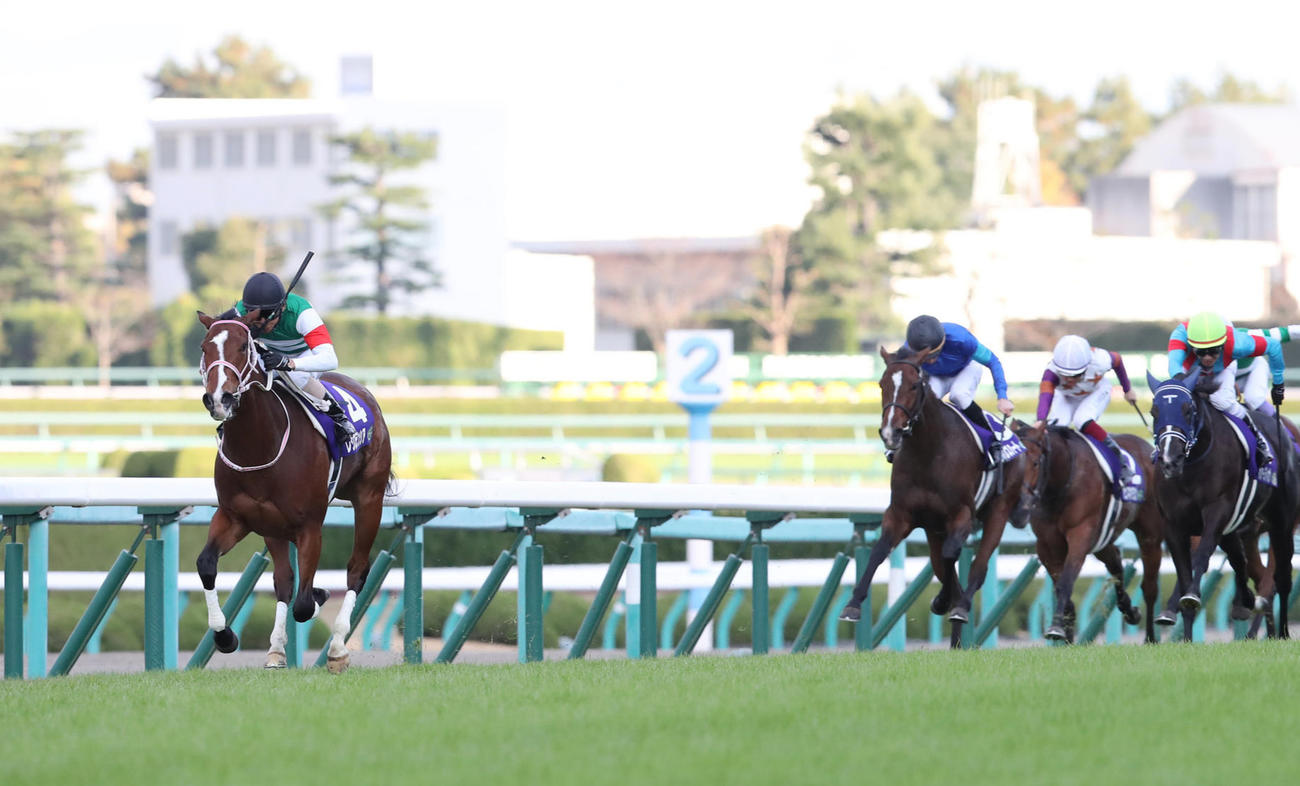 レコードで駆け抜けて無敗で阪神JFを制したレシステンシア（左端）（2019年12月8日撮影）