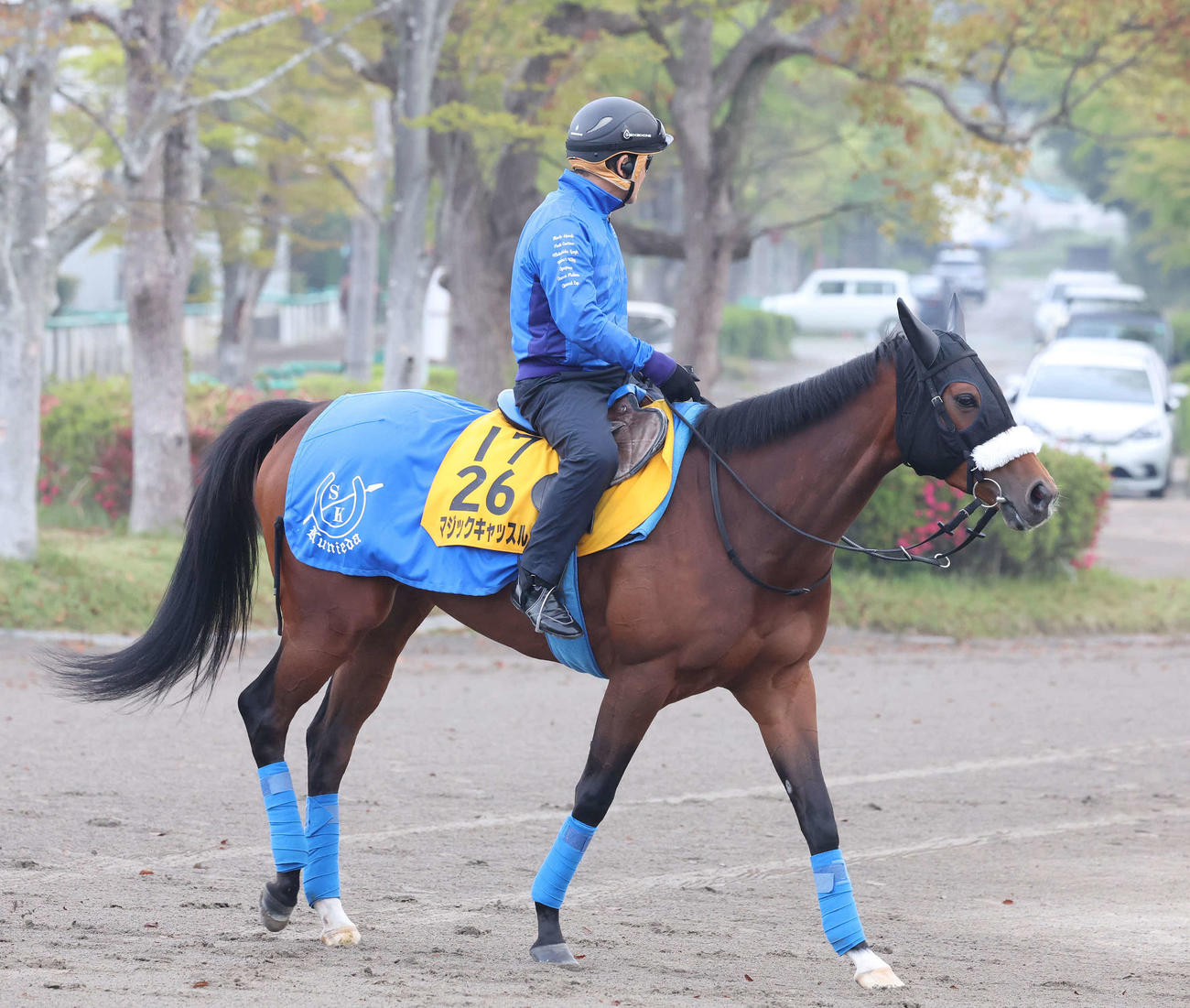 マジックキャッスル（2022年4月21日撮影）