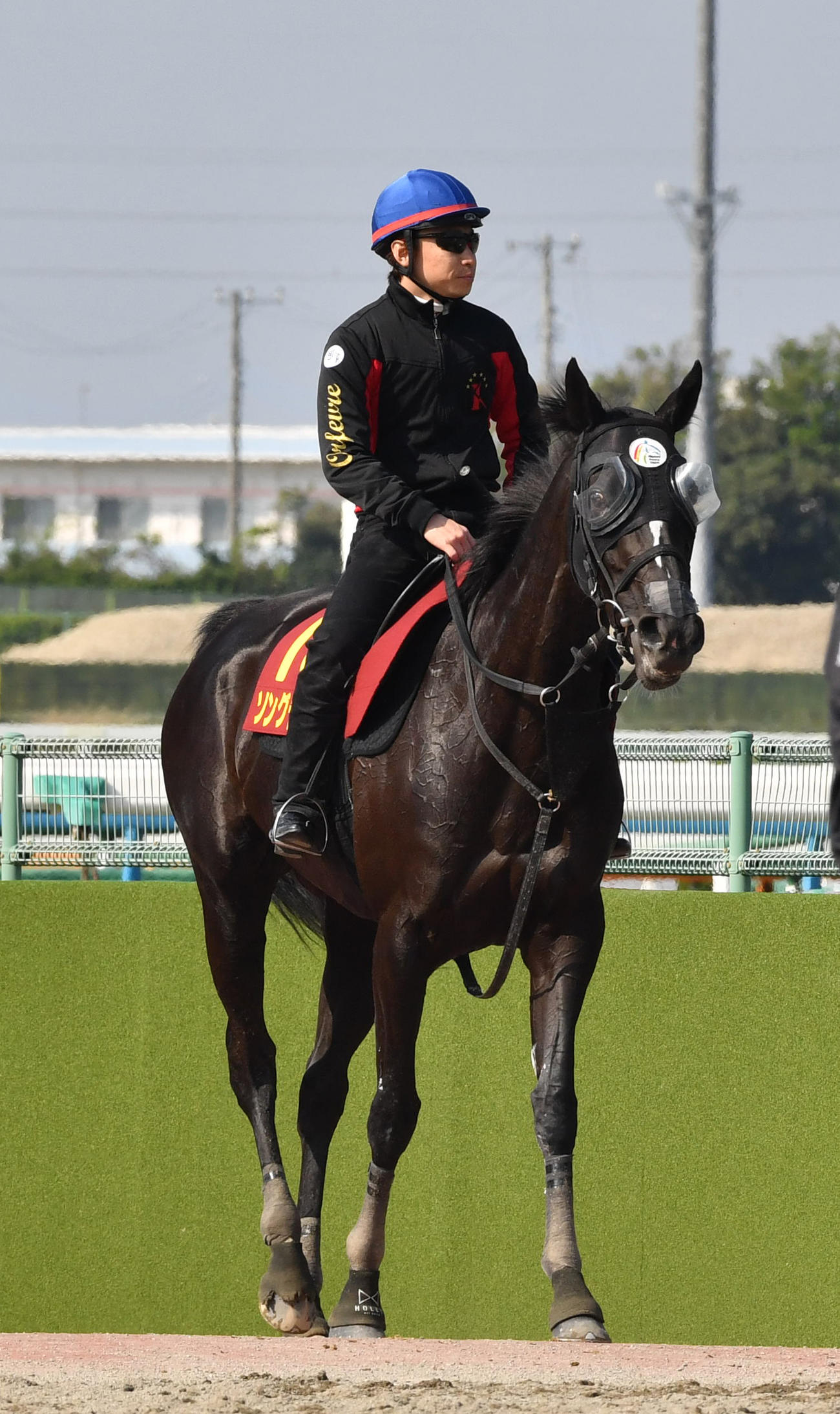 池添騎手を背にするソングライン（2022年5月4日撮影）