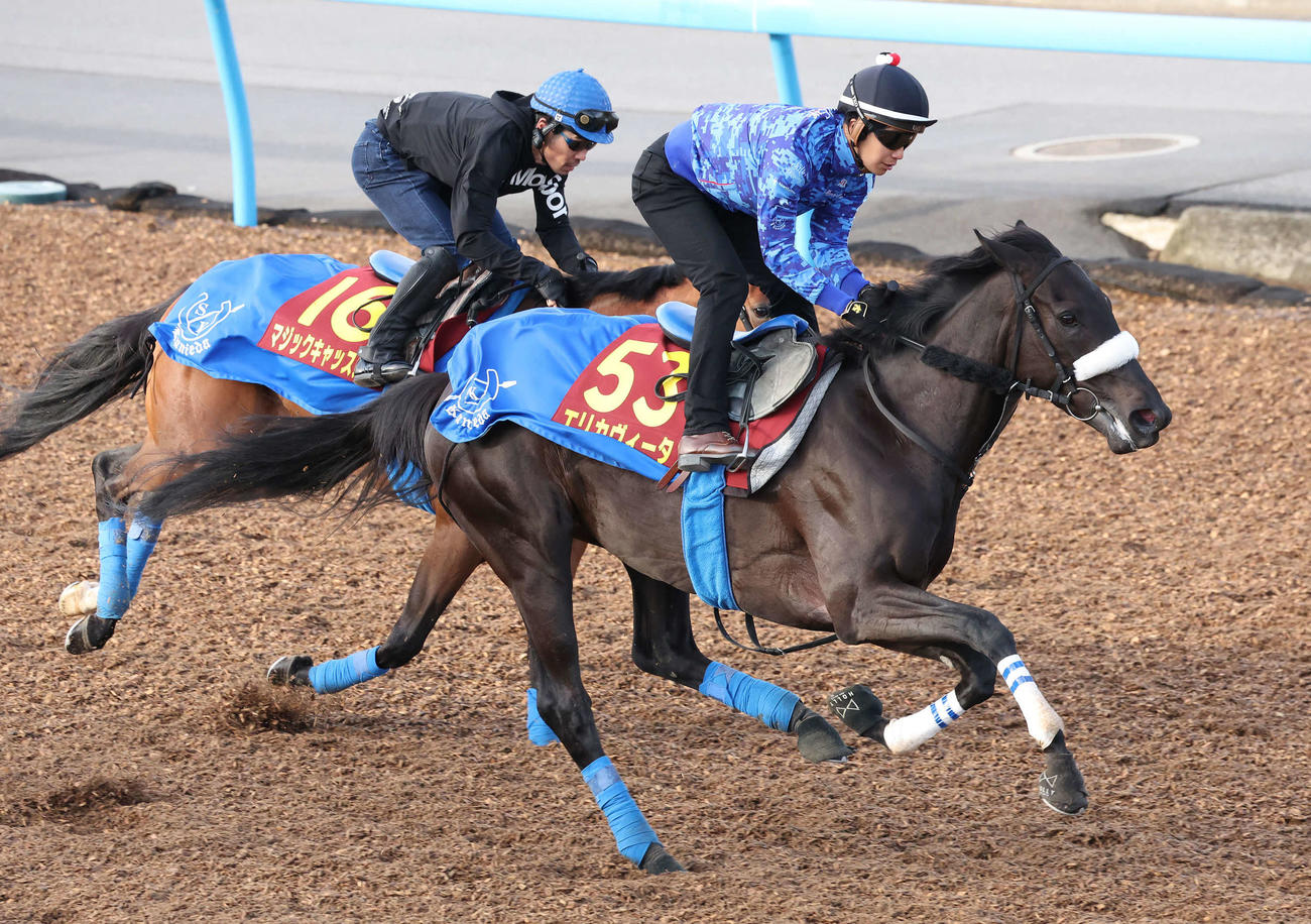 エリカヴィータ（手前）は美浦ウッドでオープン馬のマジックキャッスルと併せて追い切られた