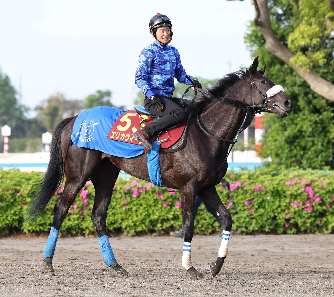 調教を終えて馬場を出るエリカヴィータ（撮影・丹羽敏通）