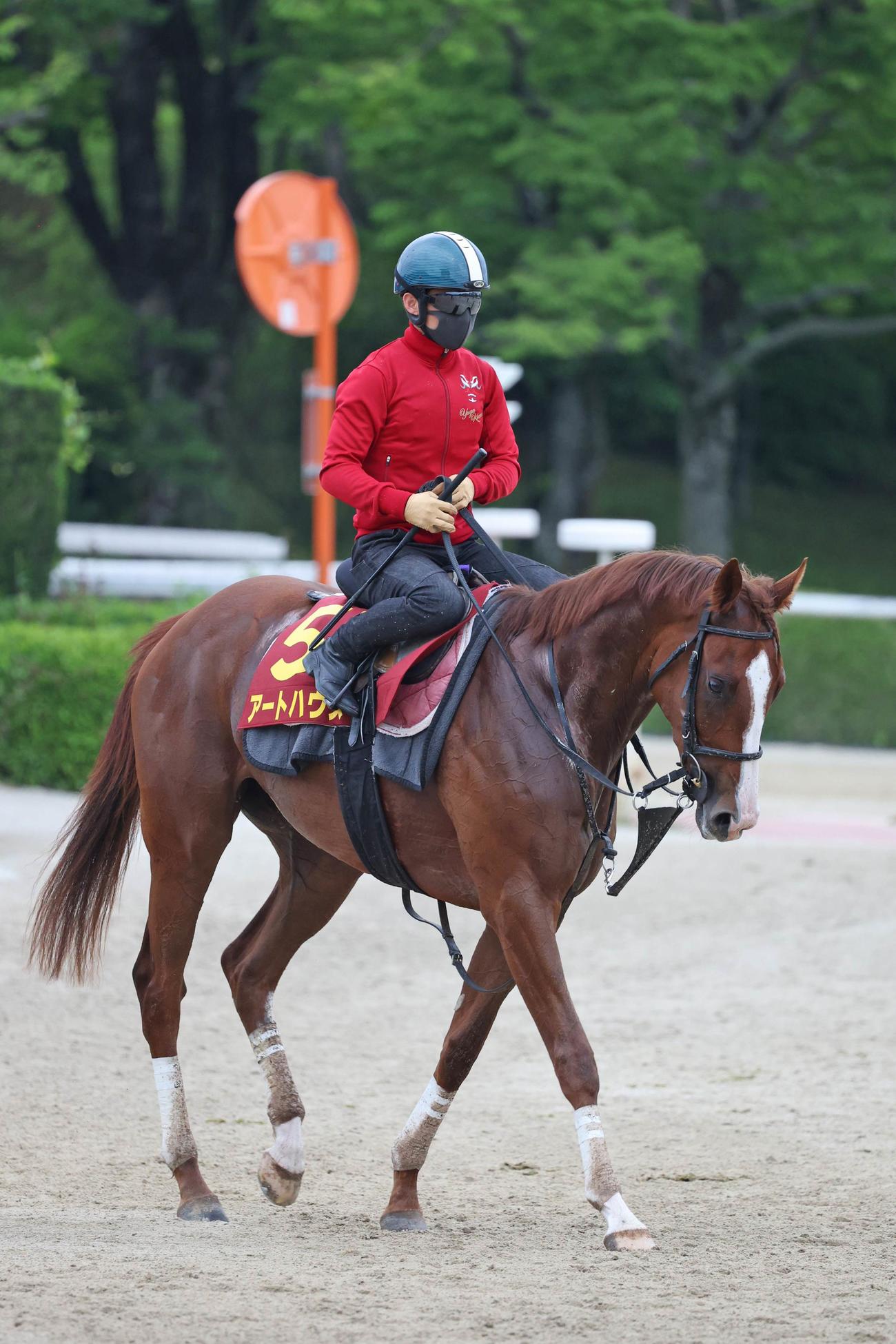 川田騎手騎乗のアートハウス
