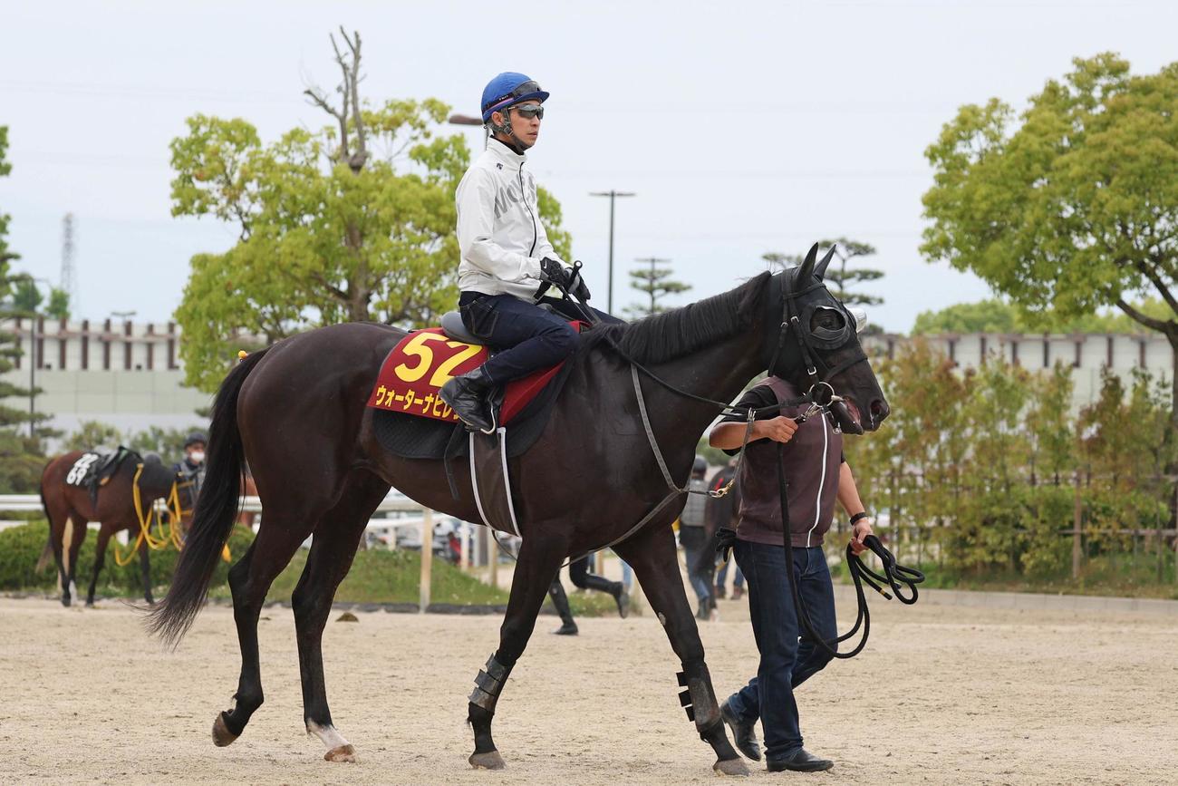ウォーターナビレラの1週前追い切りに騎乗した武豊騎手