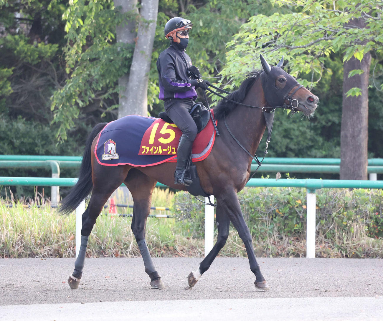 馬場へ向かうファインルージュ（撮影・丹羽敏通）