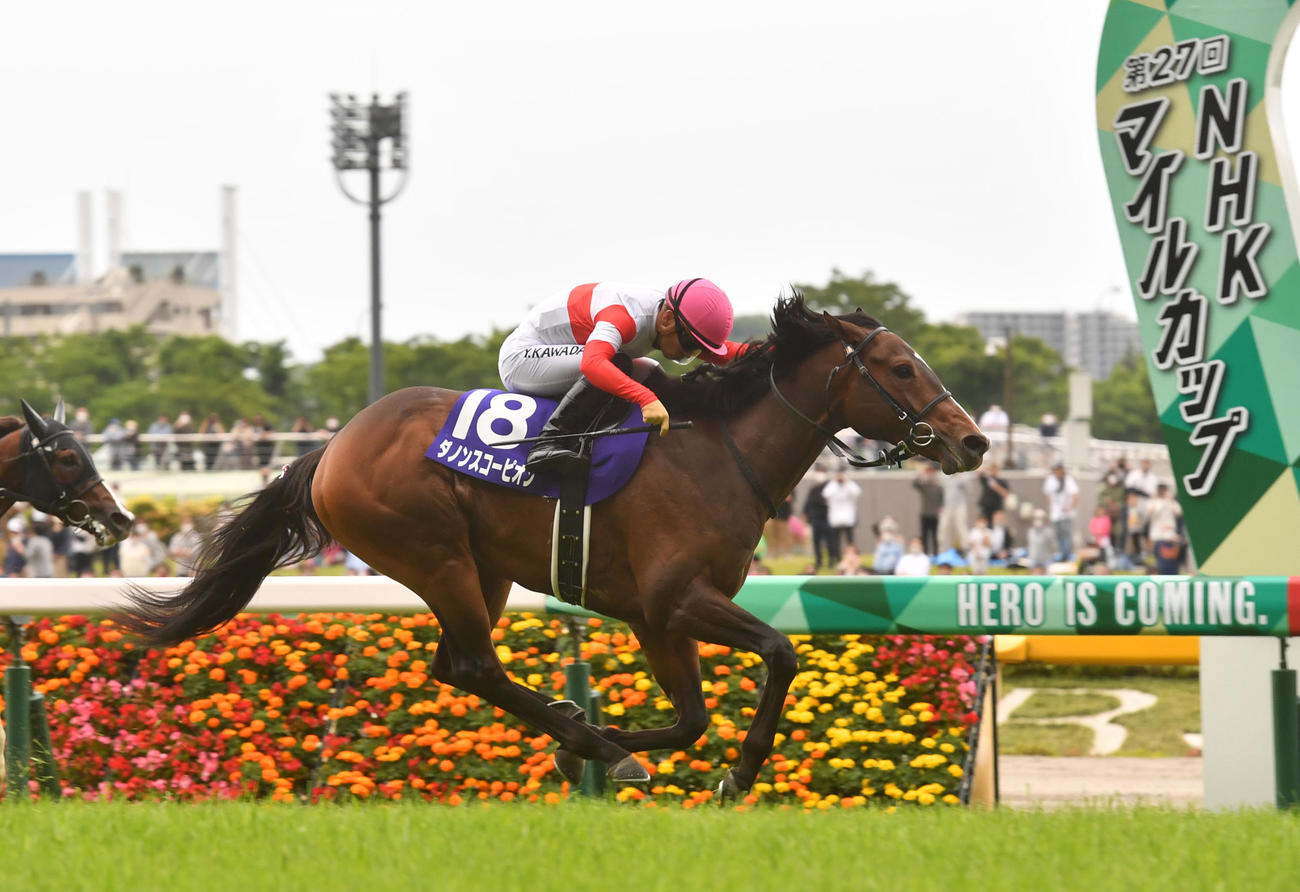 NHKマイルCを制したダノンスコーピオン（2022年5月8日撮影）