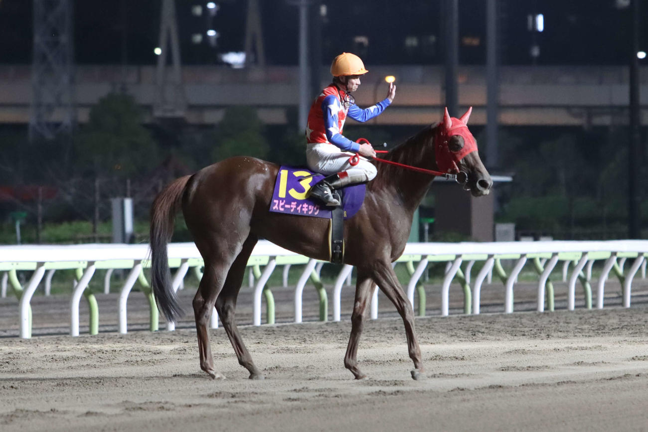 東京プリンセス賞を制したスピーディキックのウイニングランでファンに向けて手を上げる御神本訓史騎手
