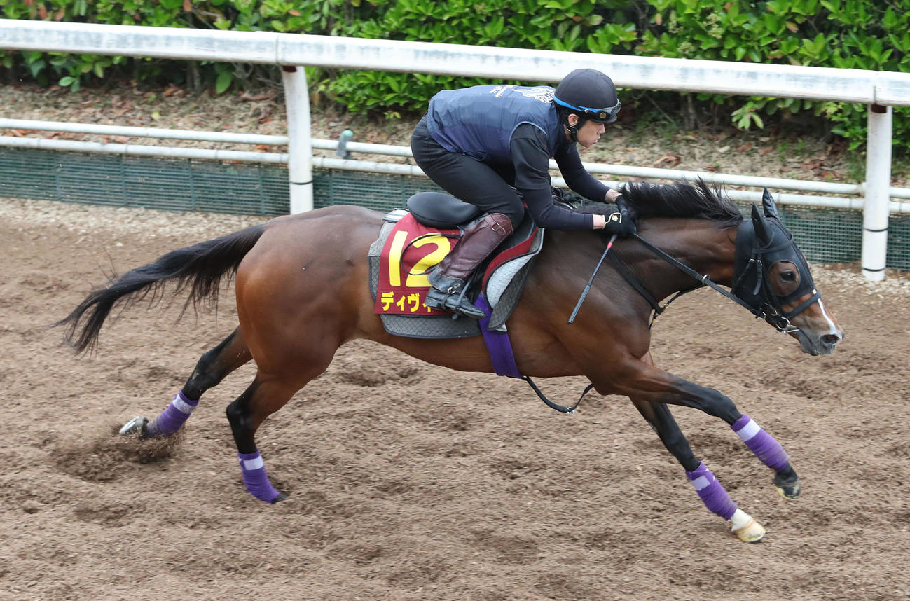 坂路を単走で追い切るディヴィーナ（撮影・白石智彦）