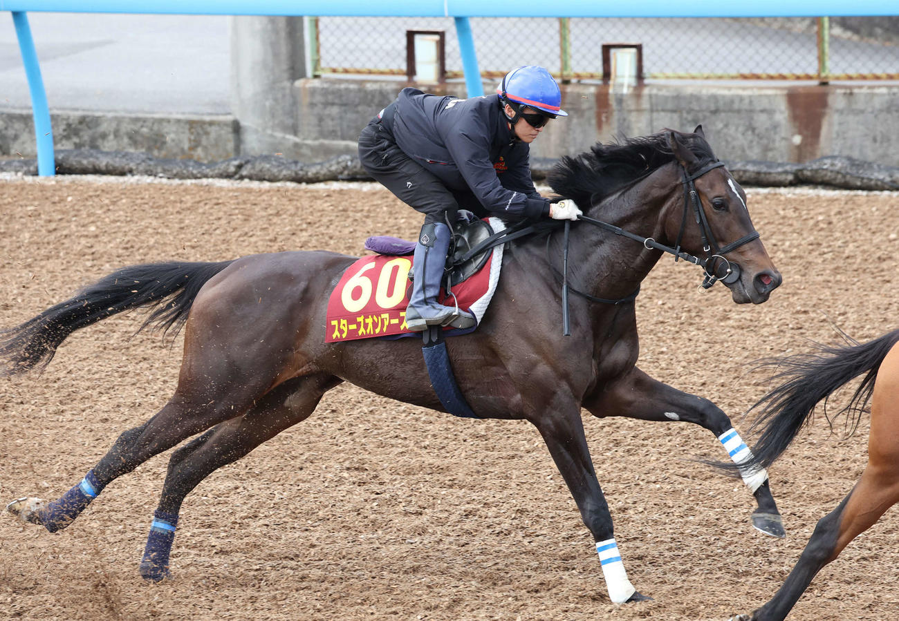 スターズオンアースは杉原騎手を背に美浦ウッドで追い切られた（撮影・丹羽敏通）
