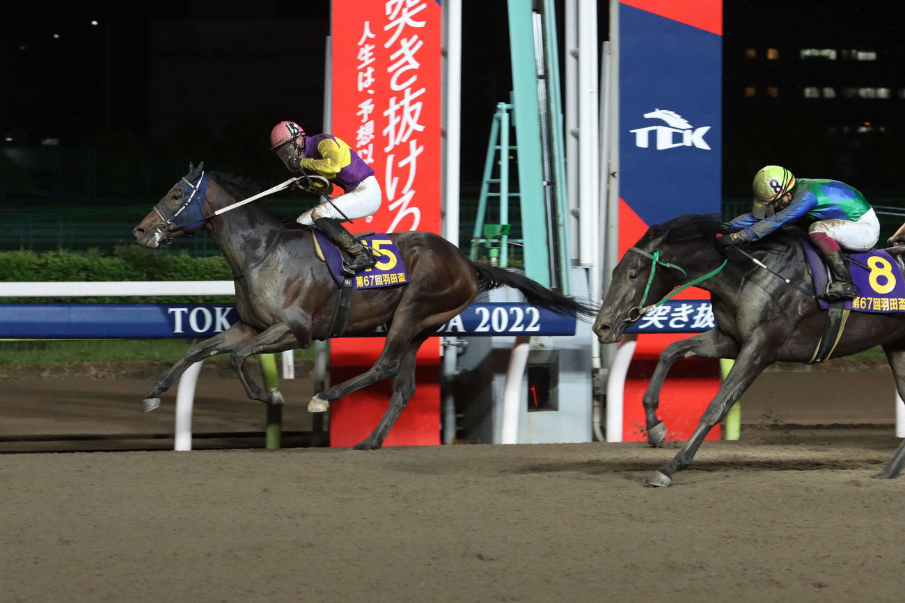 最内を突いて伸びたミヤギザオウ（左）が外から強襲したライアン（右）を首差で振り切り羽田盃を制した