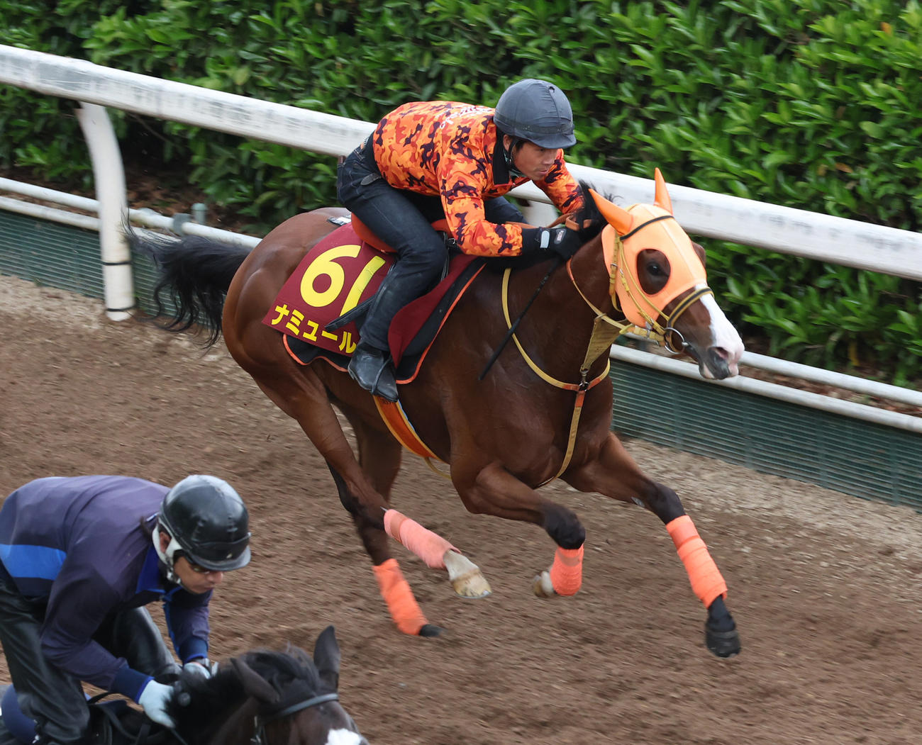 坂路で追い切るナミュール