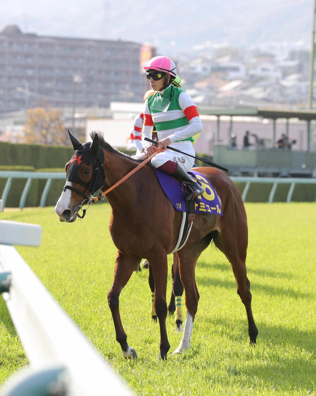 4月10日、桜花賞に出走したナミュール