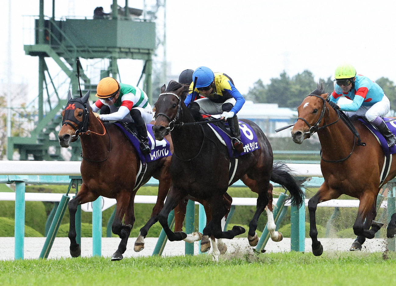 大阪杯2着に敗れたレイパパレ（左）。中央は勝ったポタジェ（2022年4月3日撮影）