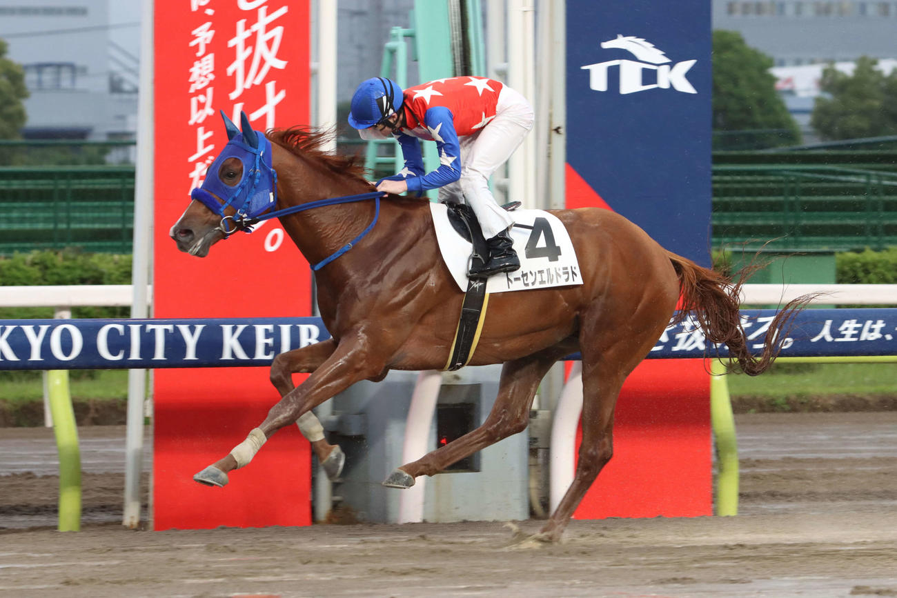 2馬身差の逃げ切りで東京ダービートライアルを制したトーセンエルドラド