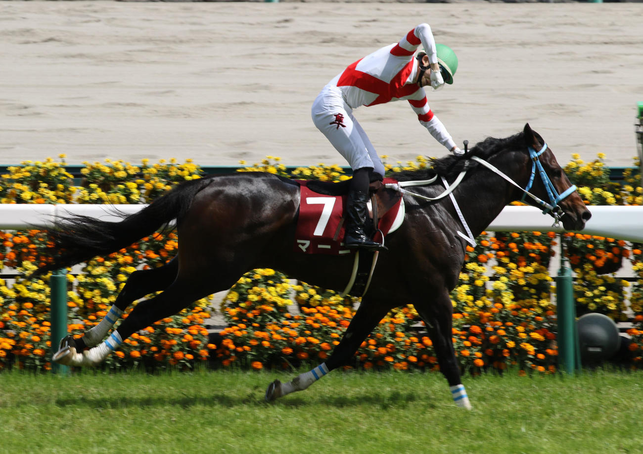 京都ハイジャンプを制しマーニの馬上でガッツポーズする三津谷隼人騎手（2021年5月15日撮影）