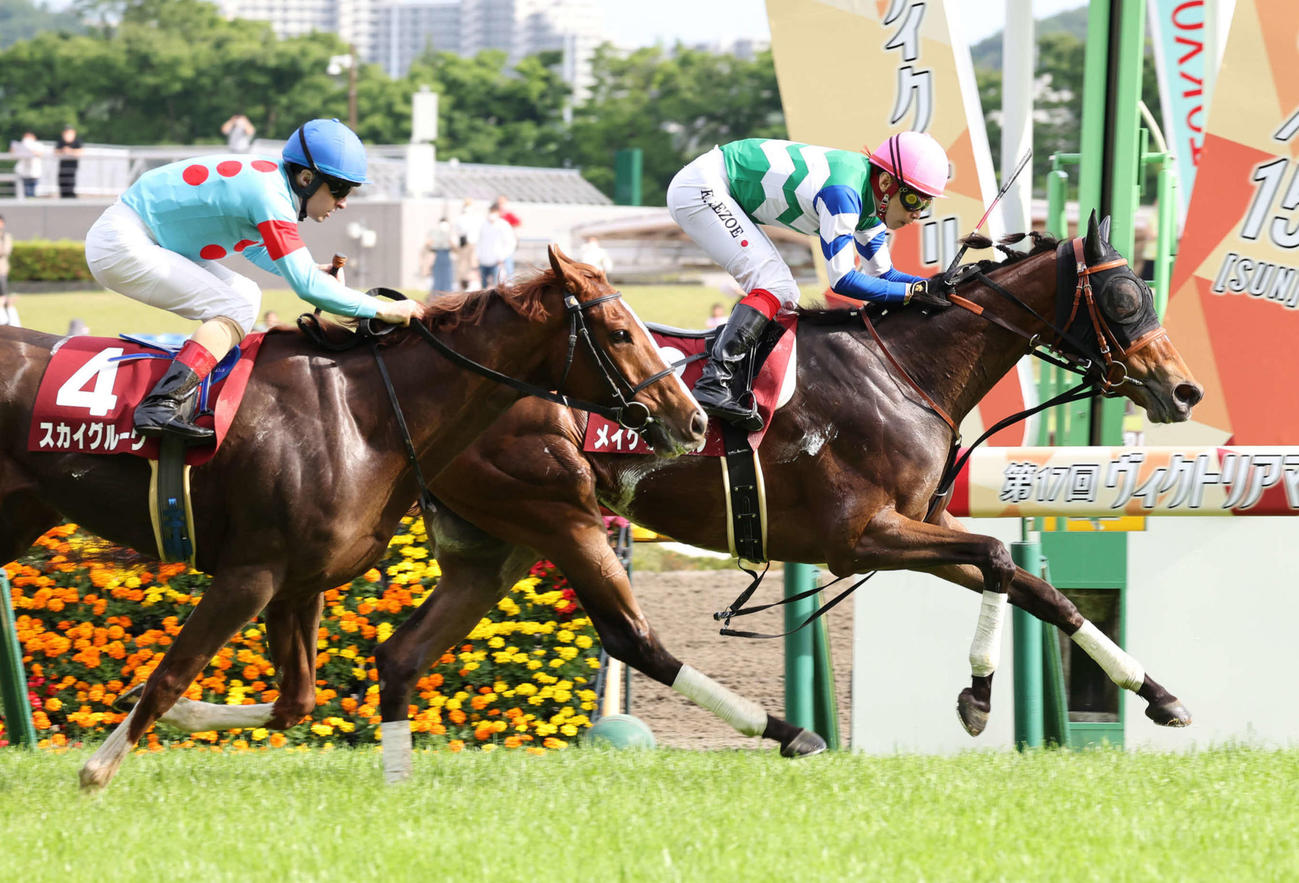 京王杯SCを制したメイケイエールと池添騎手（右）。左は2着のスカイグルーヴ（撮影・丹羽敏通）