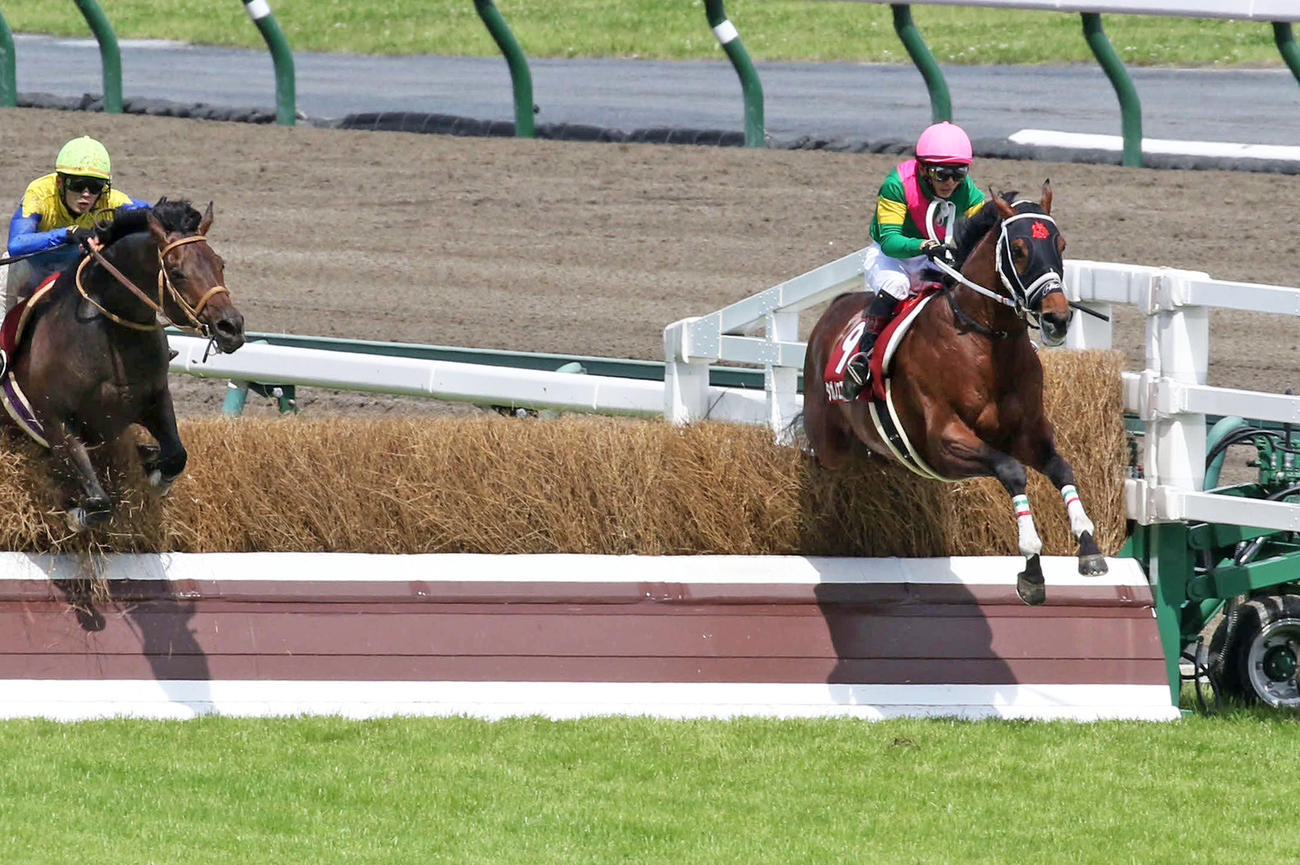 最終障害を飛越するタガノエスプレッソ（右）。左は2着ワーウルフ（撮影・渦原淳）