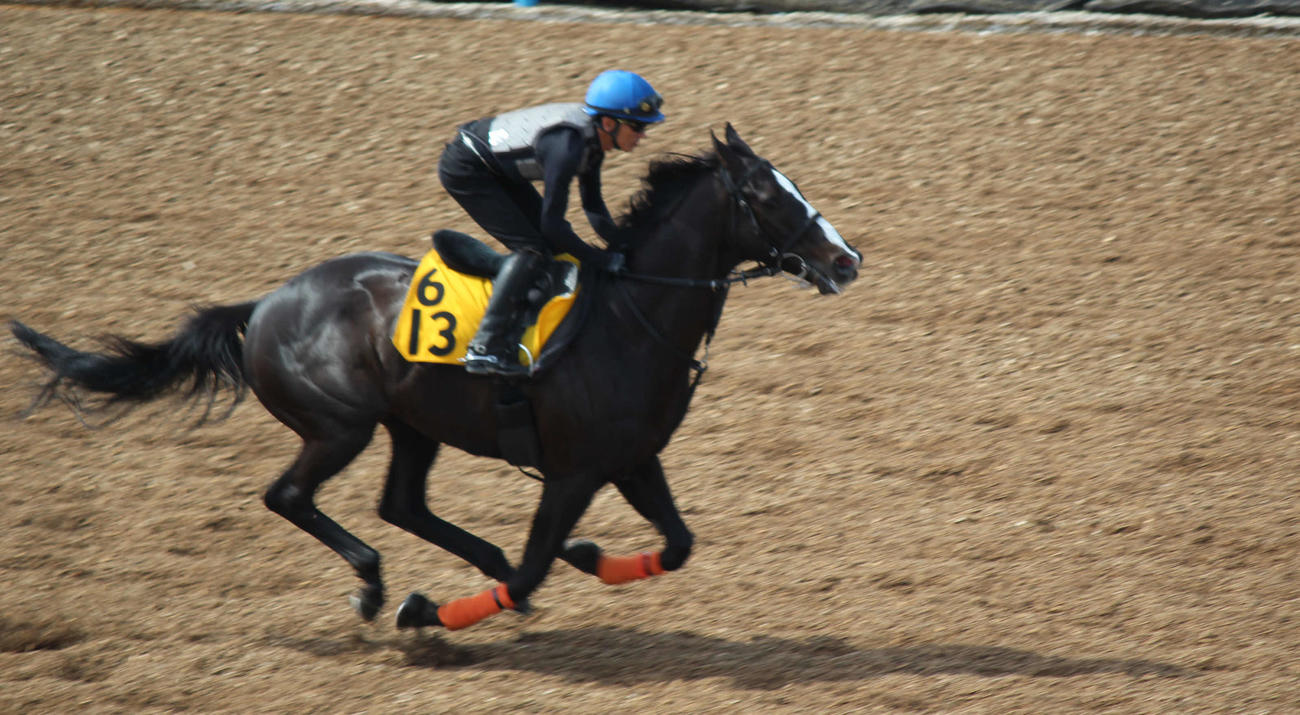 追い切りを行うコウソクスピードと石神騎手（撮影・木南友輔）