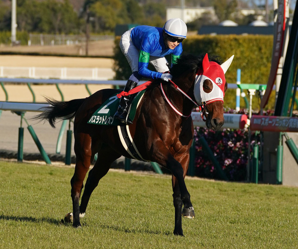 バスラットレオン（2022年1月5日撮影）