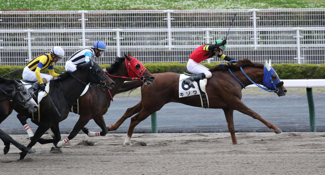 中京8R、4歳上1勝クラスを制したキゾク（撮影・渦原淳）
