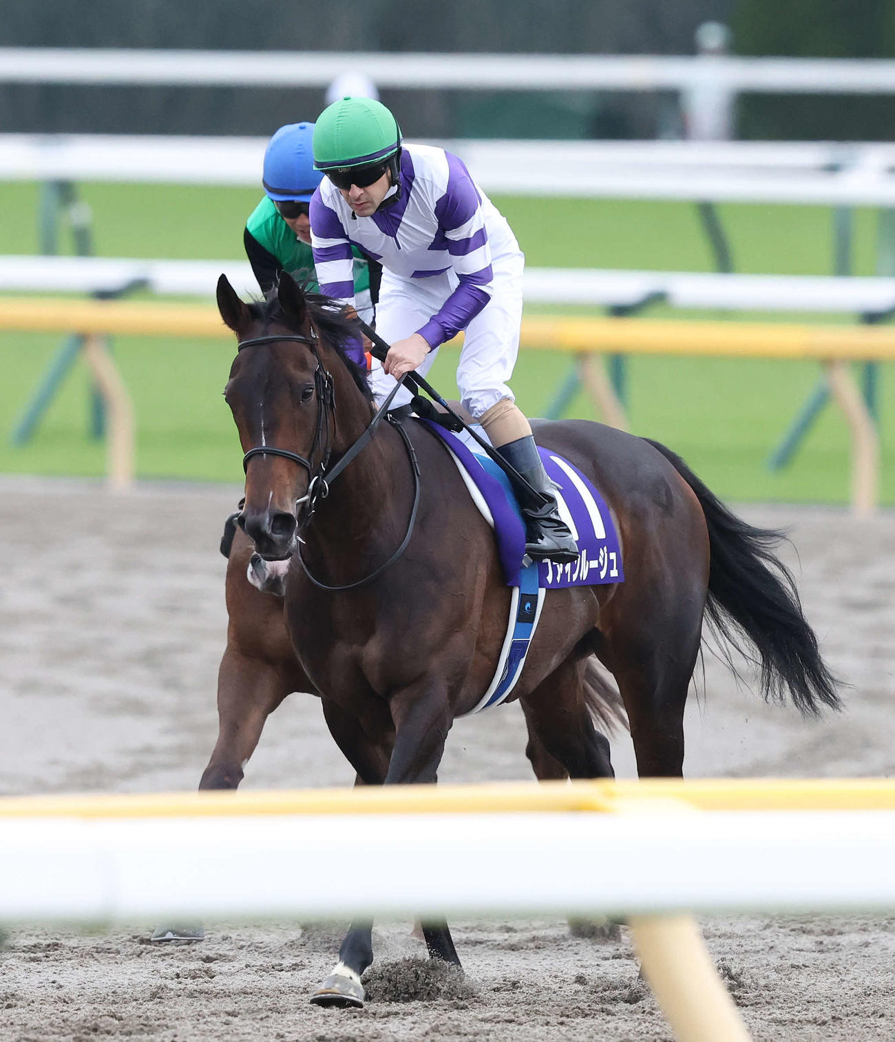 東京11R、ヴィクトリアMで2着に敗れたファインルージュとC・ルメール騎手（撮影・丹羽敏通）