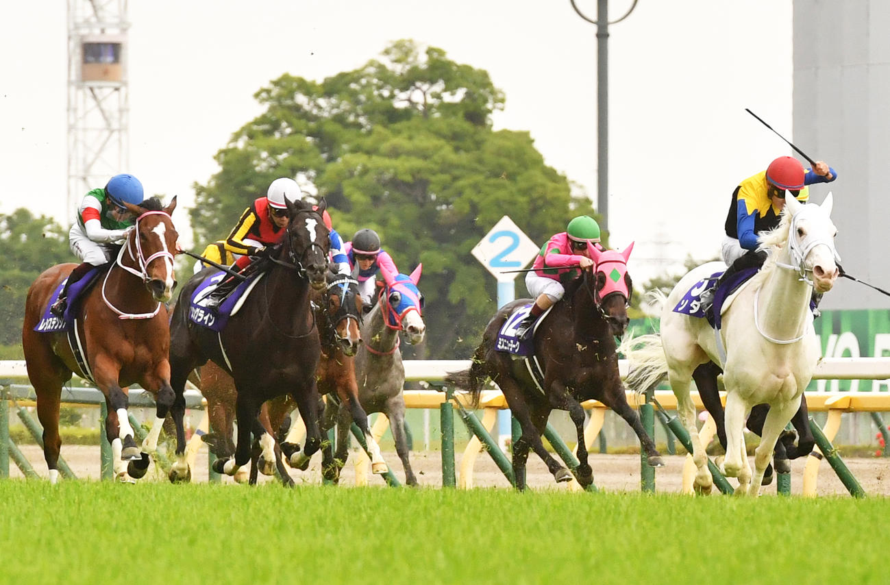 ヴィクトリアM3着のレシステンシア（左）。右は勝ったソダシ（撮影・柴田隆二）