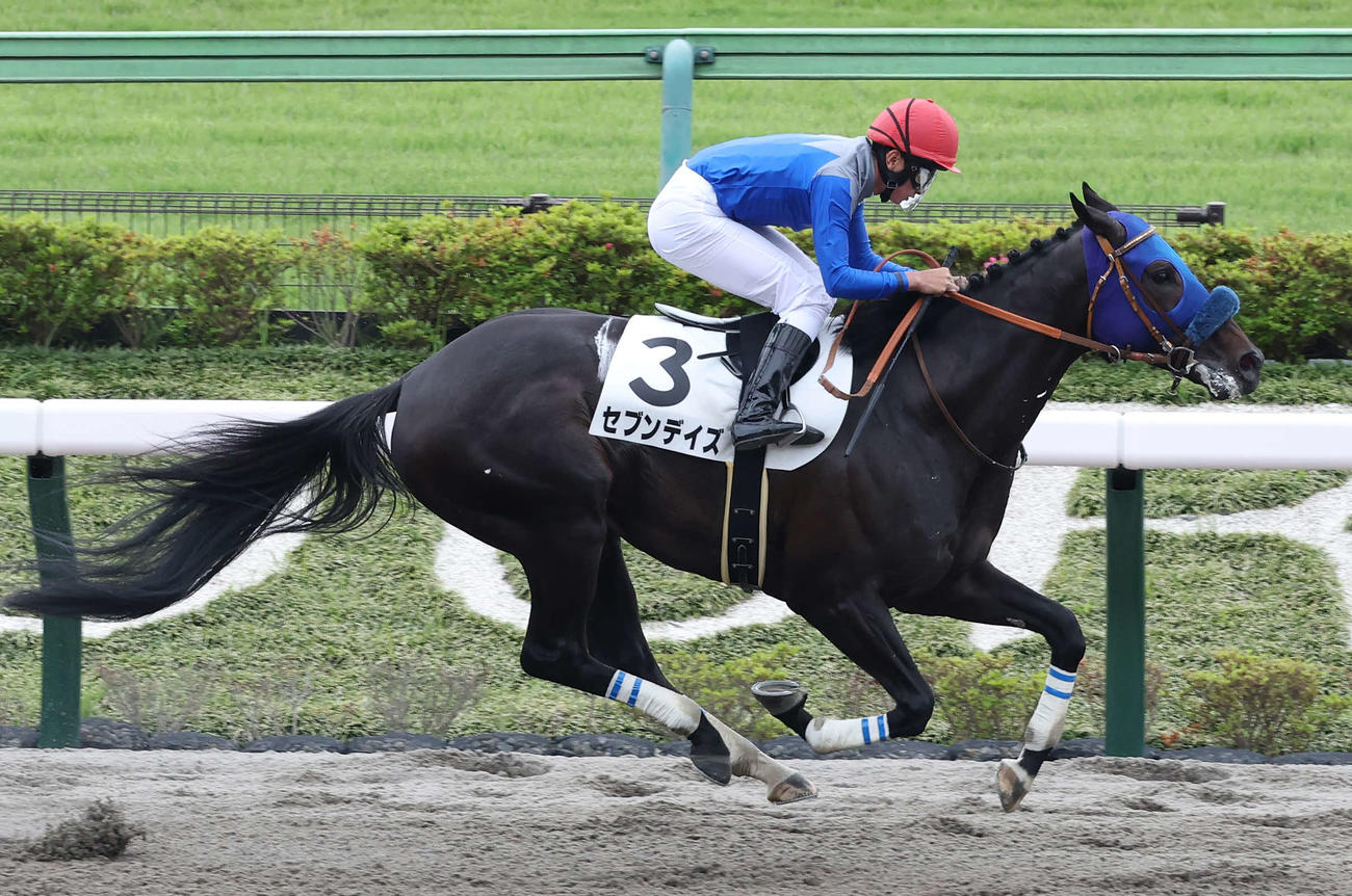 東京6R、4歳上1勝クラスを制したセブンデイズと岩田望騎手（撮影・丹羽敏通）