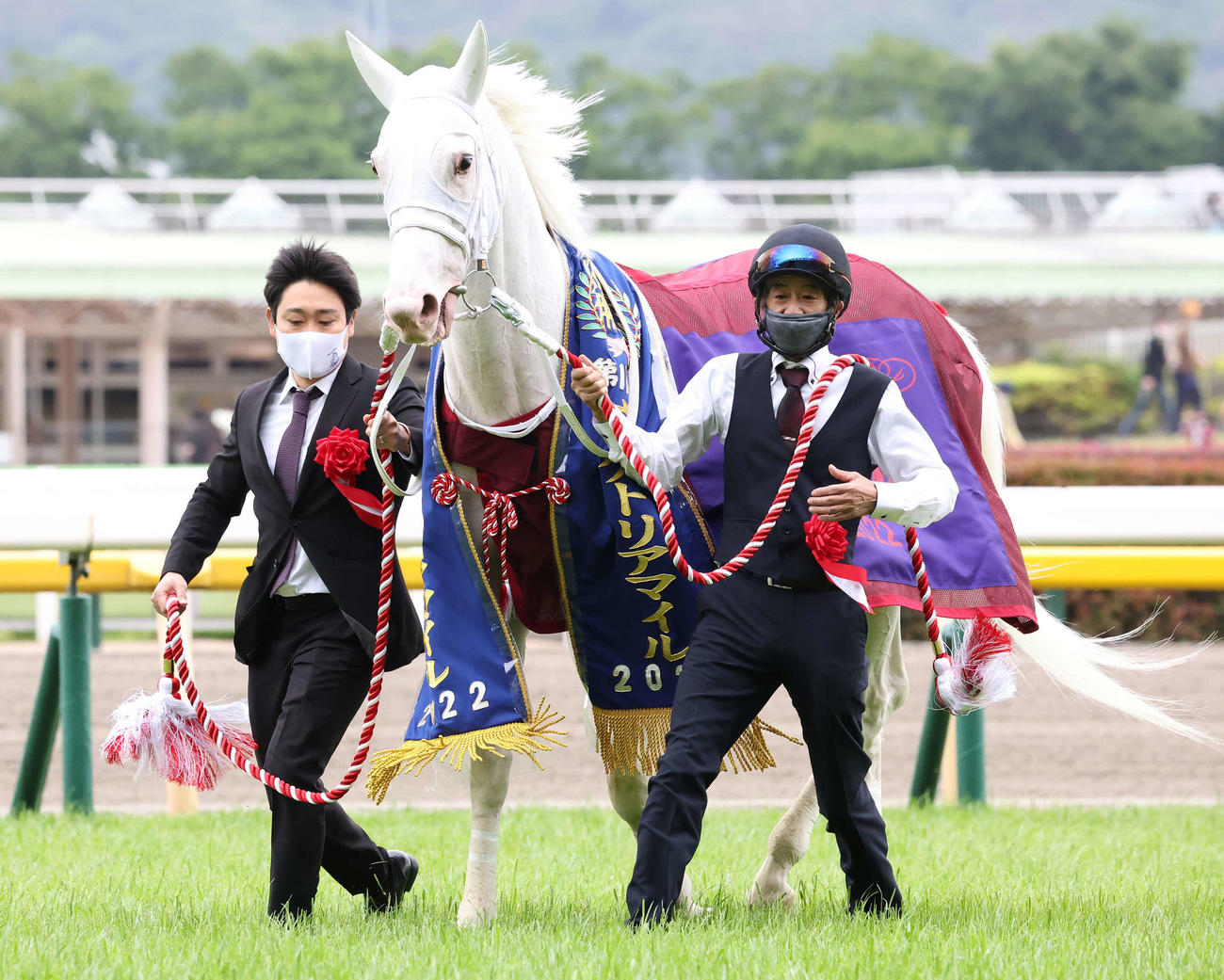 ヴィクトリアMを制し優勝レイをかけられたソダシ（撮影・丹羽敏通）