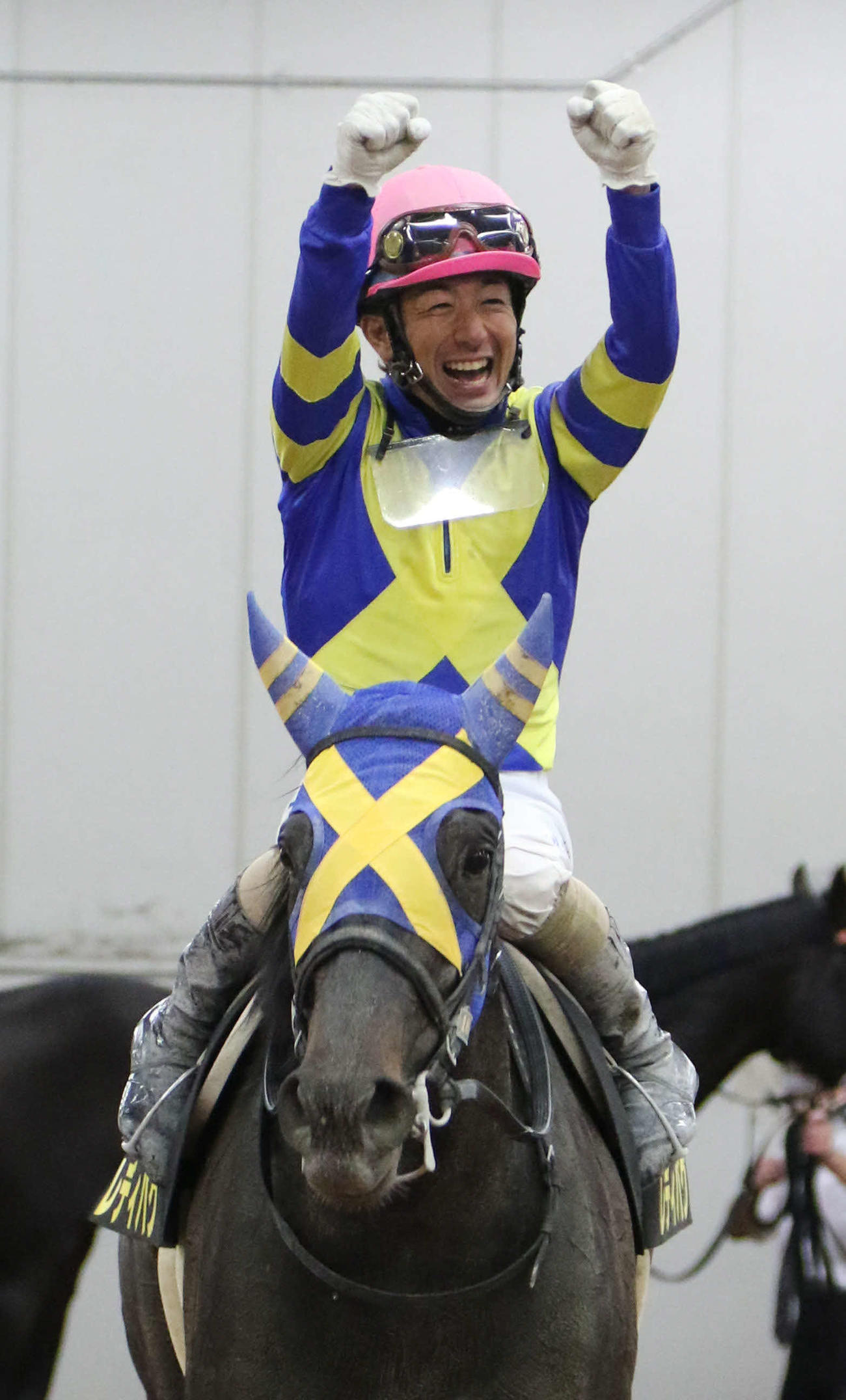 レディバグの馬上で両手をあげる酒井学騎手（撮影・渦原淳