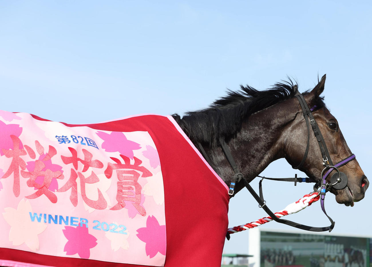 桜花賞を制し優勝レイをかけられたスターズオンアース（2022年4月10日撮影）