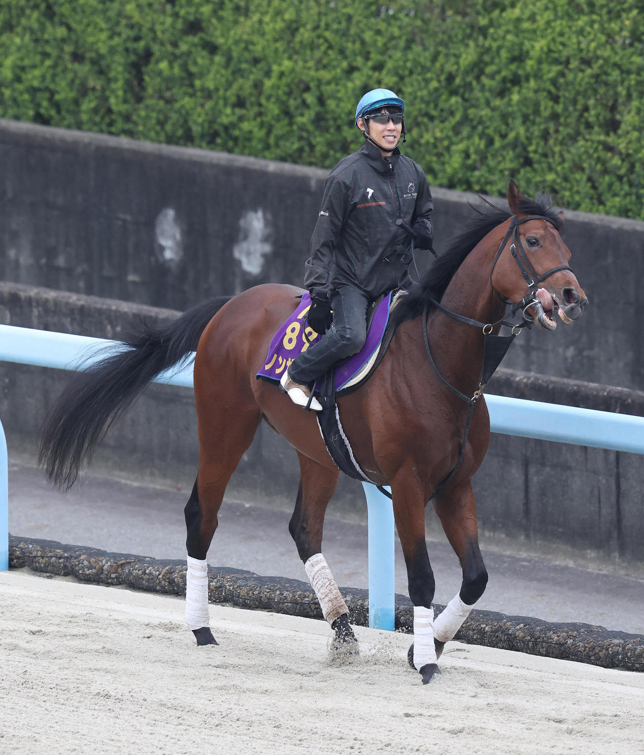 ダノンザキッドを調教する北村友一騎手（撮影・白石智彦）