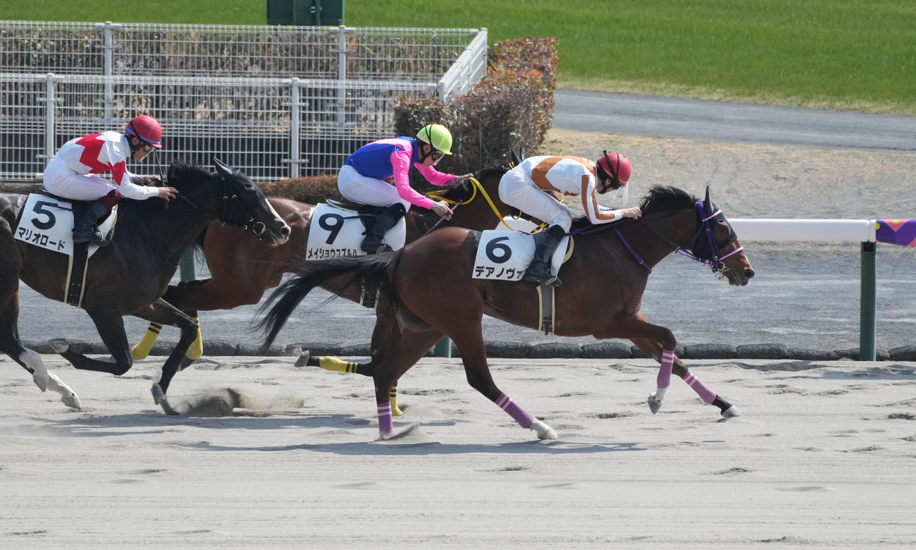 1勝クラスを制したデアノヴァ（2022年3月12日撮影）