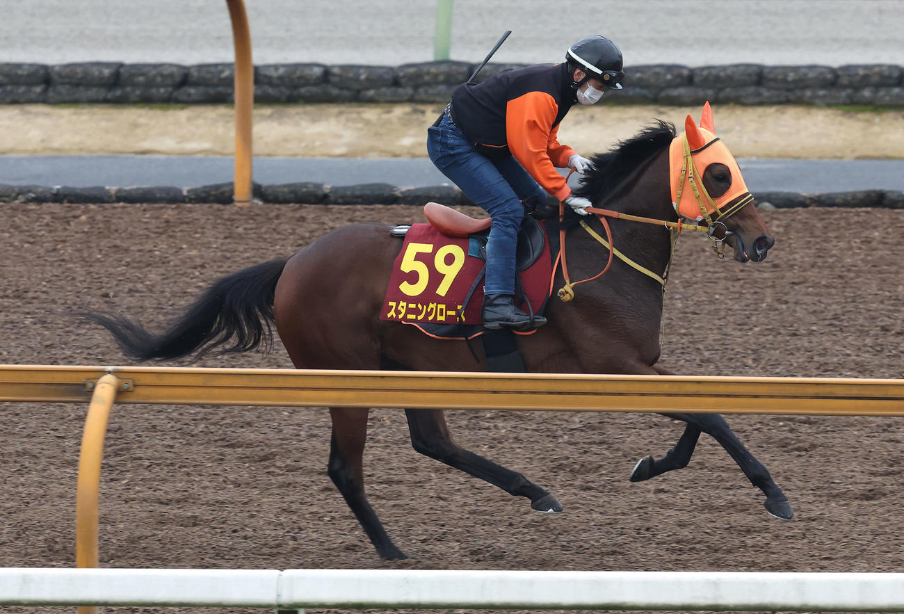 運動するスタニングローズ（撮影・白石智彦）