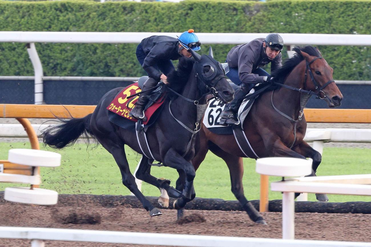 吉田隼騎手（レースは武豊騎手）が騎乗し、古馬と互角の動きを見せたウォーターナビレラ（左）