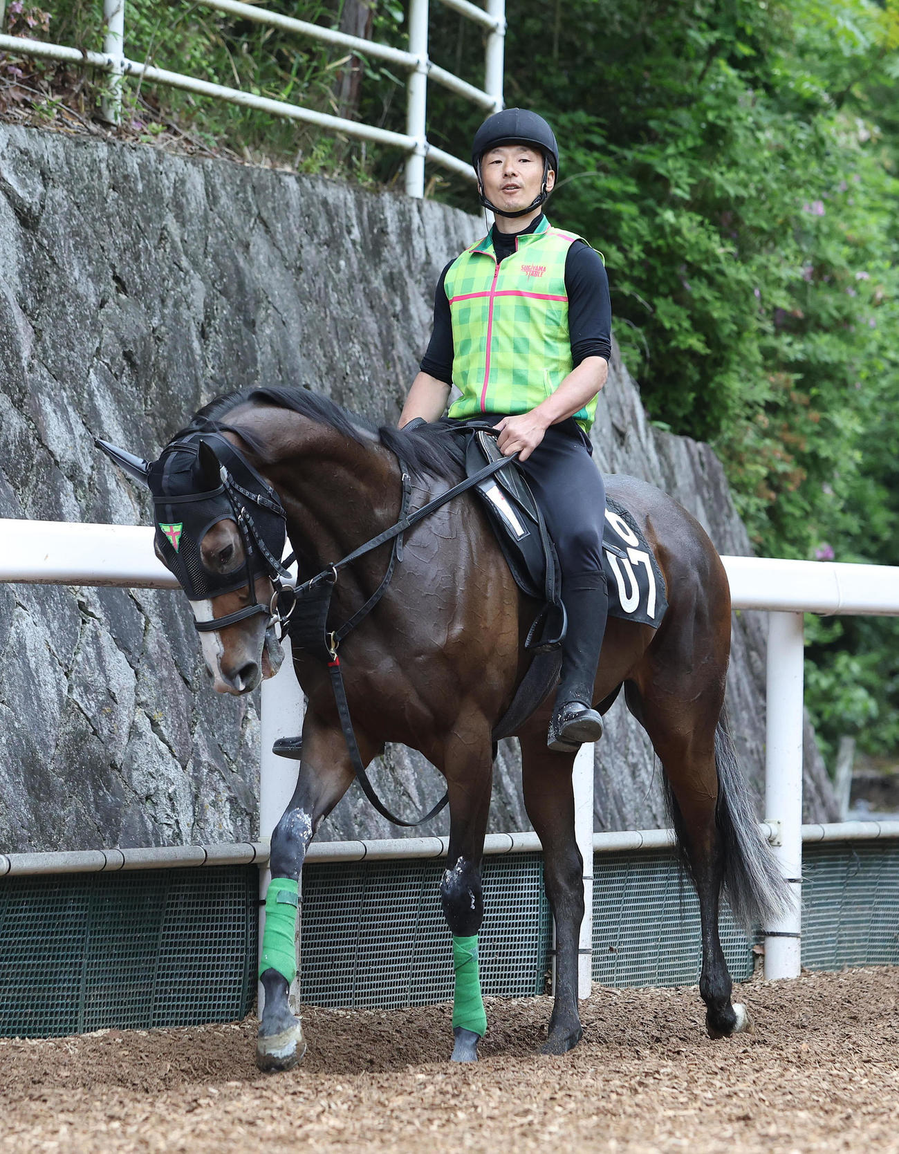 馬道で運動するストーリア（撮影・白石智彦）