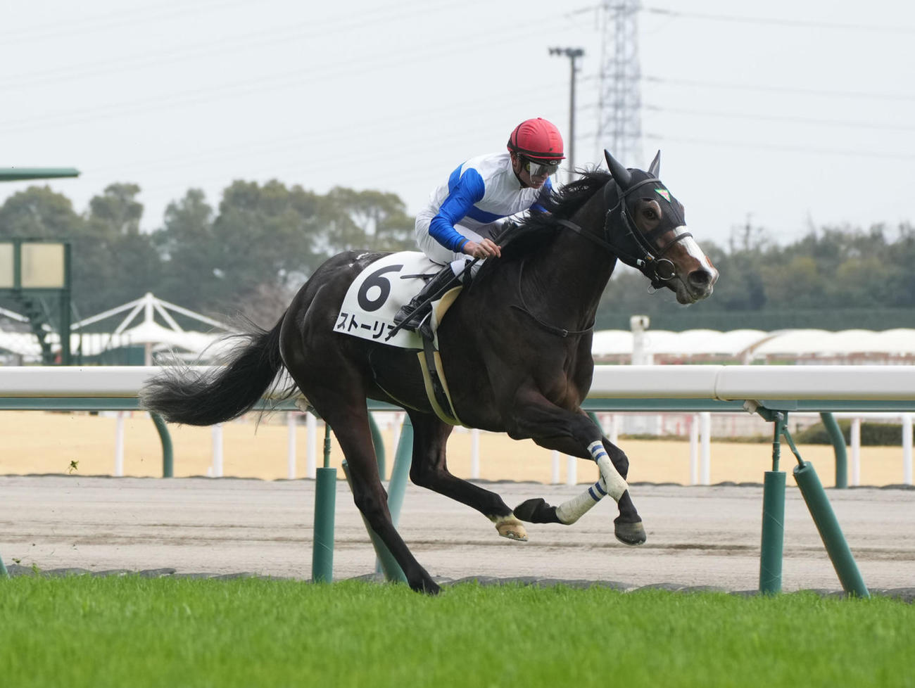 3月13日、中京5R1着のストーリア
