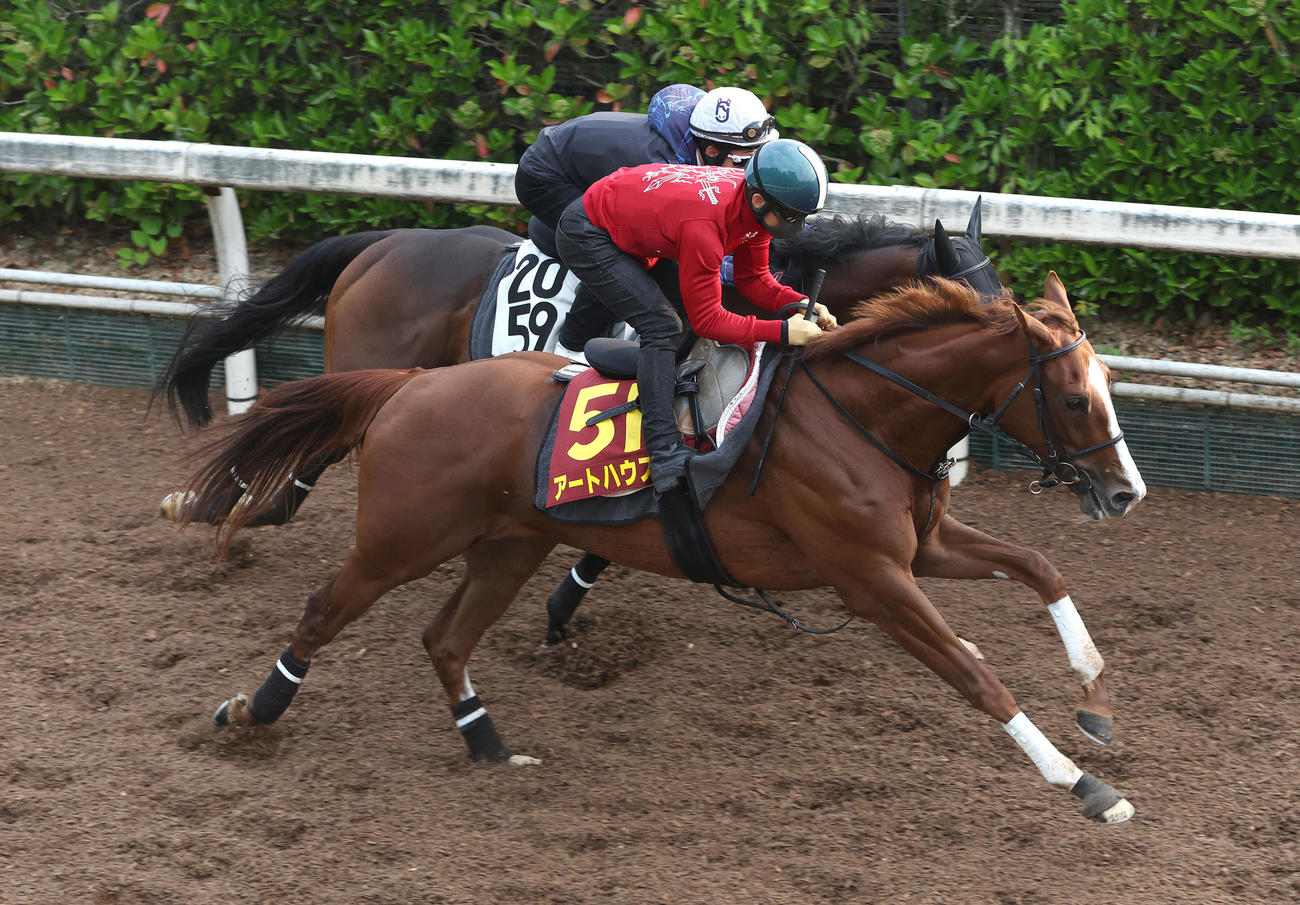 川田騎手を背に坂路をメイショウハクサン（奥）と併せ馬で追い切るアートハウス（撮影・白石智彦）