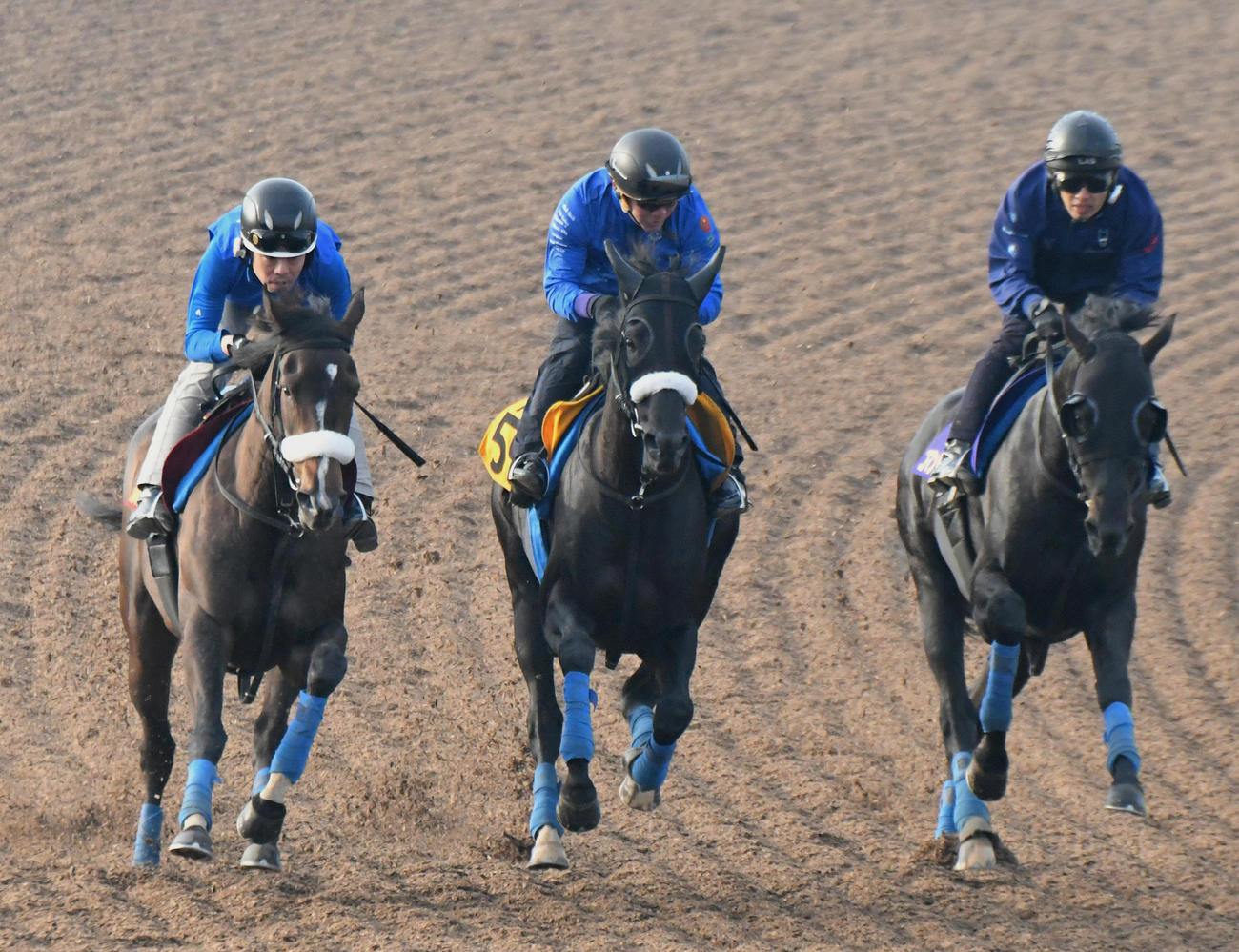 サークルオブライフ（左）は、ブルメンダール（中央）、コマンドラインの3頭併せてで追い切られた（撮影・酒井清司）