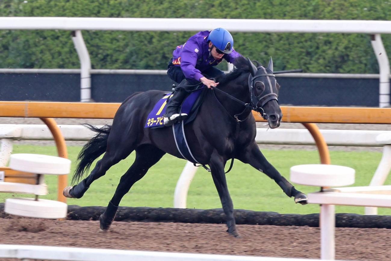横山武史が騎乗し、シャープな脚捌きをみせたキラーアビリティ
